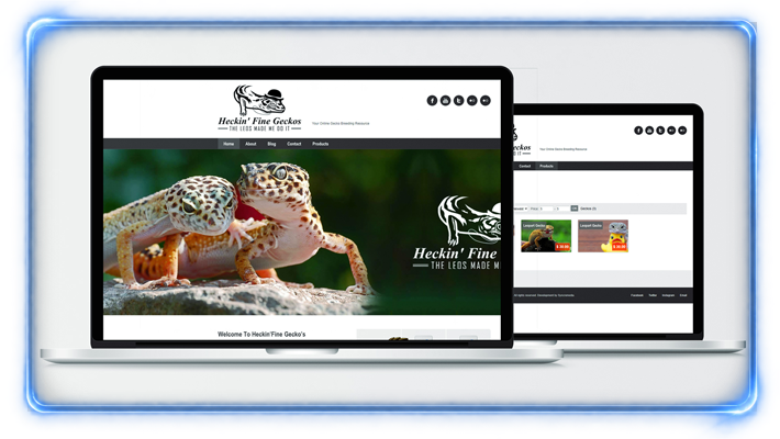 Heckin Fine Geckos website and brand design created by YXE Web Studios